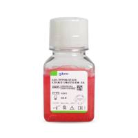 Gibco 国产胰酶细胞消化液（0.25%胰酶，含EDTA，含酚红)