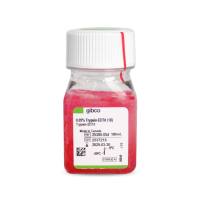 GIBCO  进口 胰酶细胞消化液（0.05%胰酶，含EDTA，含酚红）