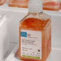 （BI）FBS特级胎牛血清，04-001-1ACS