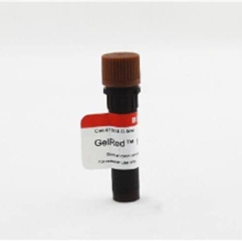 GelGreen核酸凝胶染料/核酸染料 41005