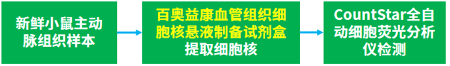百奥益康血管组织细胞核悬液制备试剂盒