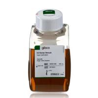 Gibco热灭活马血清26050088