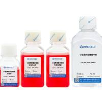 小鼠胰腺星状细胞分离试剂盒