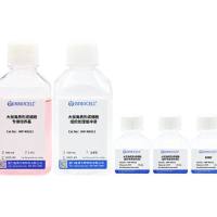 大鼠角质形成细胞分离试剂盒