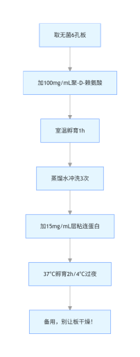 新生大鼠心室肌细胞（NRVMs）：从分离培养到多领域应用，解锁心脏研究新可能