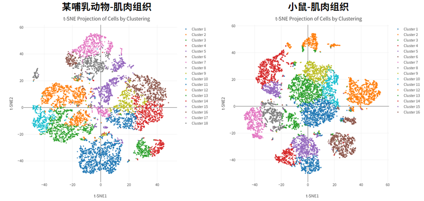 百奥益康肌肉组织细胞核悬液制备试剂盒