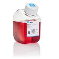 DMEM High Glucose 11995065 500ml Gibco