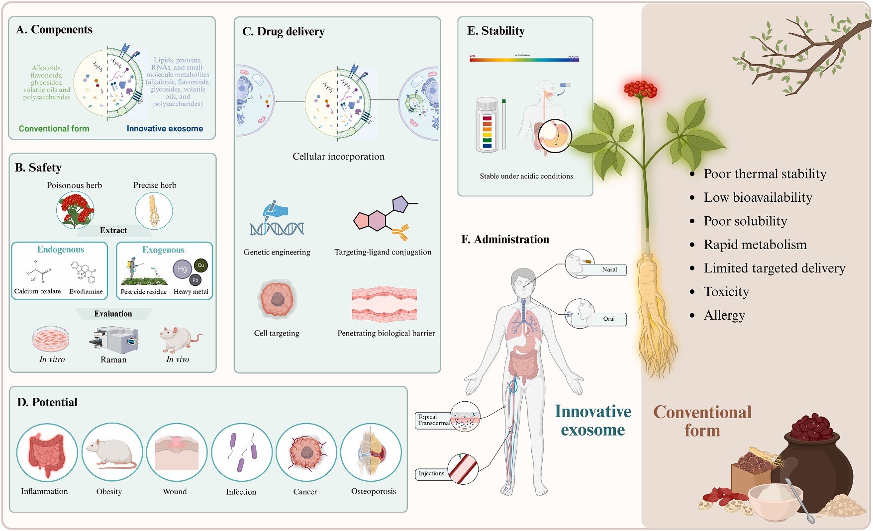 植物外泌体 植物外泌体