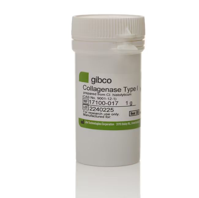 胶原酶I型Collagenase I(货号:17100017)