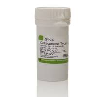 胶原酶I型Collagenase I(货号:17100017)