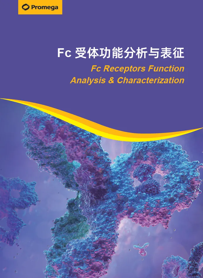 新品 | 快速免洗型生化检测分析Fcγ受体与抗体亲和力