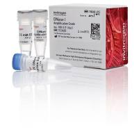 DNase I,扩增级,18068015