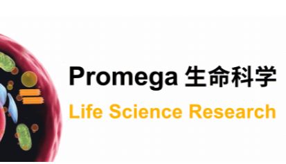 基于HiBiT的PCSK9分泌检测：蛋白质转运研究的强大工具