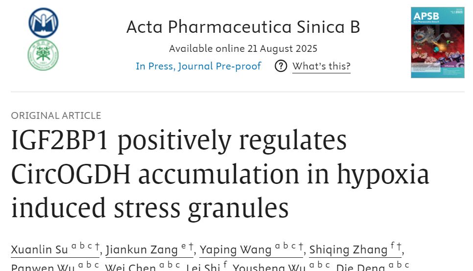 客户文章 | APSB (IF 14.6)：暨南大学附一徐安定/逯丹教授团队在缺血半暗带治疗新靶点又一突破