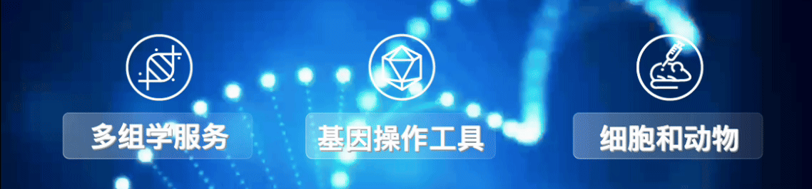 免疫肽组——连接机体蛋白状态与免疫应答的桥梁