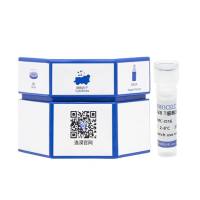 ​小鼠CD3/CD28 T细胞激活磁珠