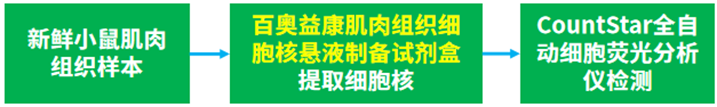 百奥益康肌肉组织细胞核悬液制备试剂盒