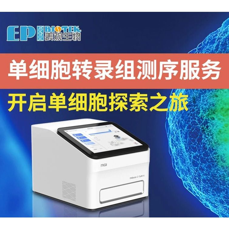 单细胞转录组测序服务，开启单细胞探索之旅