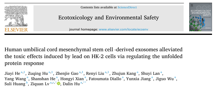外泌体技术三连击：差速离心提取+荧光示踪+通路验证，揭秘铅中毒干预新路径！