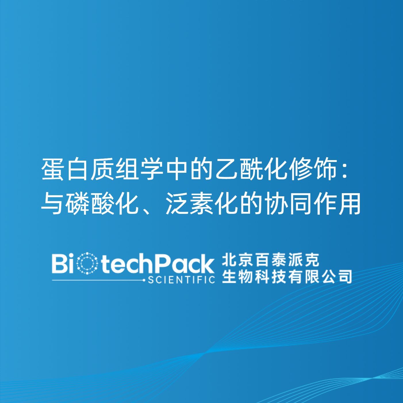 蛋白质组学中的乙酰化修饰：与磷酸化、泛素化的协同作用产品图