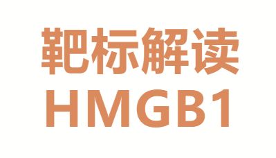 靶标解读HMGB1