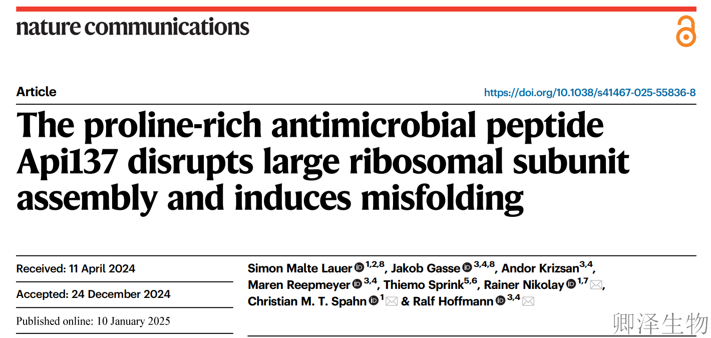 【Polysome技术文献】 | 科学家发现新型抗菌肽的"双杀"机制