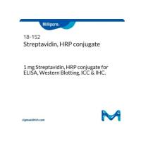 链霉亲和素,HRP 结合物