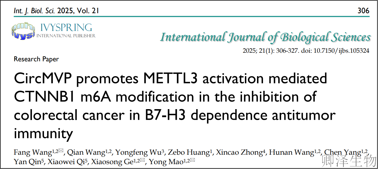 【Polysome技术文献】| circRNA新成员circMVP通过调控免疫检查点B7-H3促进结直肠癌进展