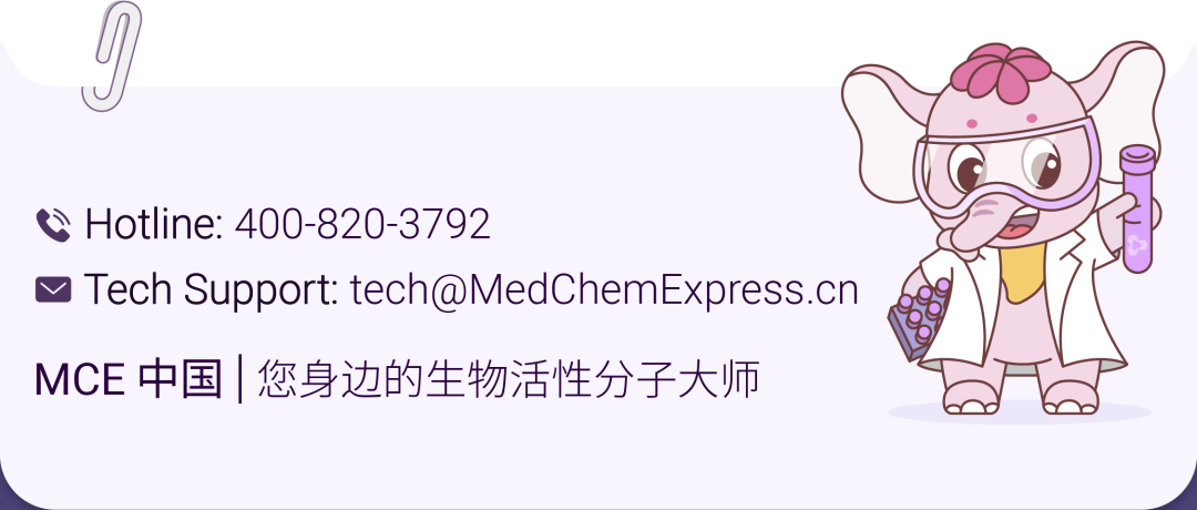 36_aydQloaicXA8AqeQnsEPPIZlBVGRzg.png