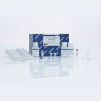 52904 病毒RNA小提试剂盒 Qiagen试剂盒