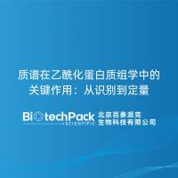 质谱在乙酰化蛋白质组学中的关键作用：从识别到定量