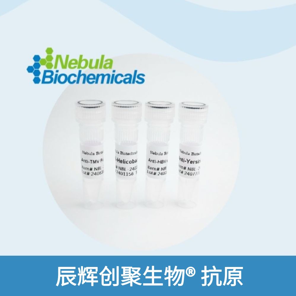 NebuSelect™ Progesterone-specific, BSA [Antigen]