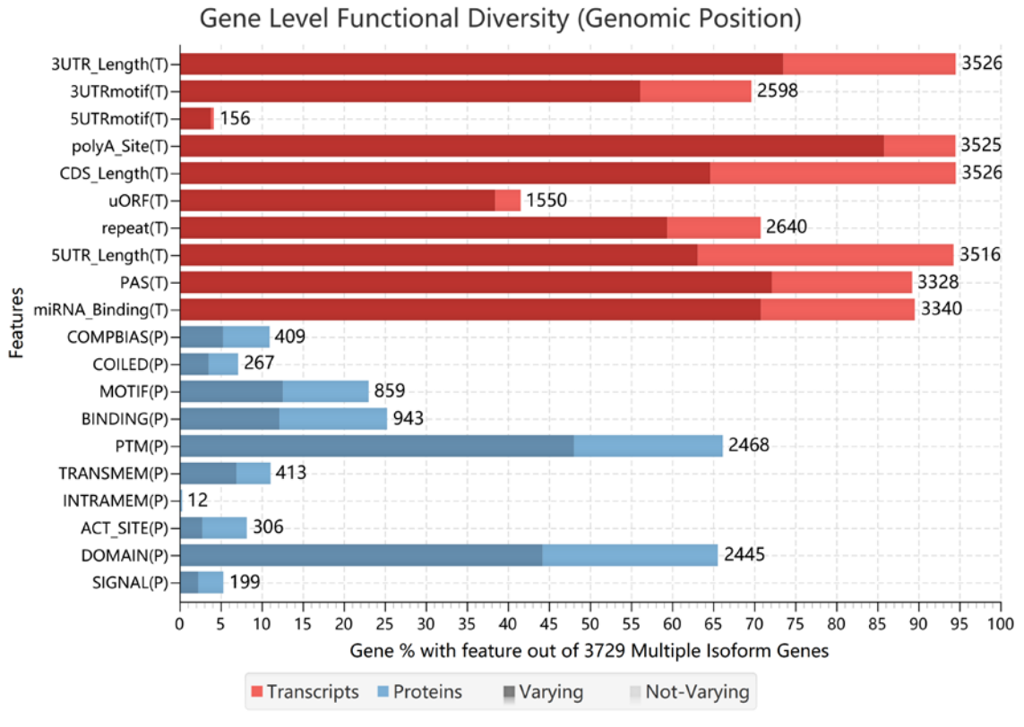 ISO-SLAM-seq：全长RNA代谢测序服务