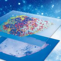 空间转录组芯片升级，更高的捕获率，更低的价格！