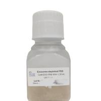 SBI无外泌体胎牛血清