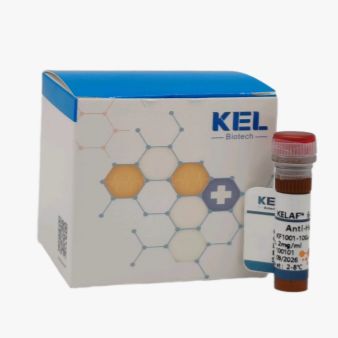 KELAF™ 647 AffiniPure Goat Anti-Human IgG (H+L)