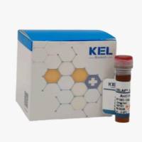 KELAF™ 647 AffiniPure Goat Anti-Human IgG (H+L)