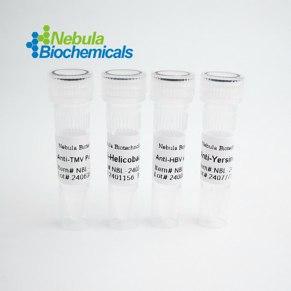 α-防御素 | Native Human α-Defensi