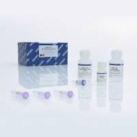 凝胶回收试剂盒 Qiagen 28706