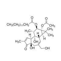 佛波醇12-十四酸酯13-乙酸酯