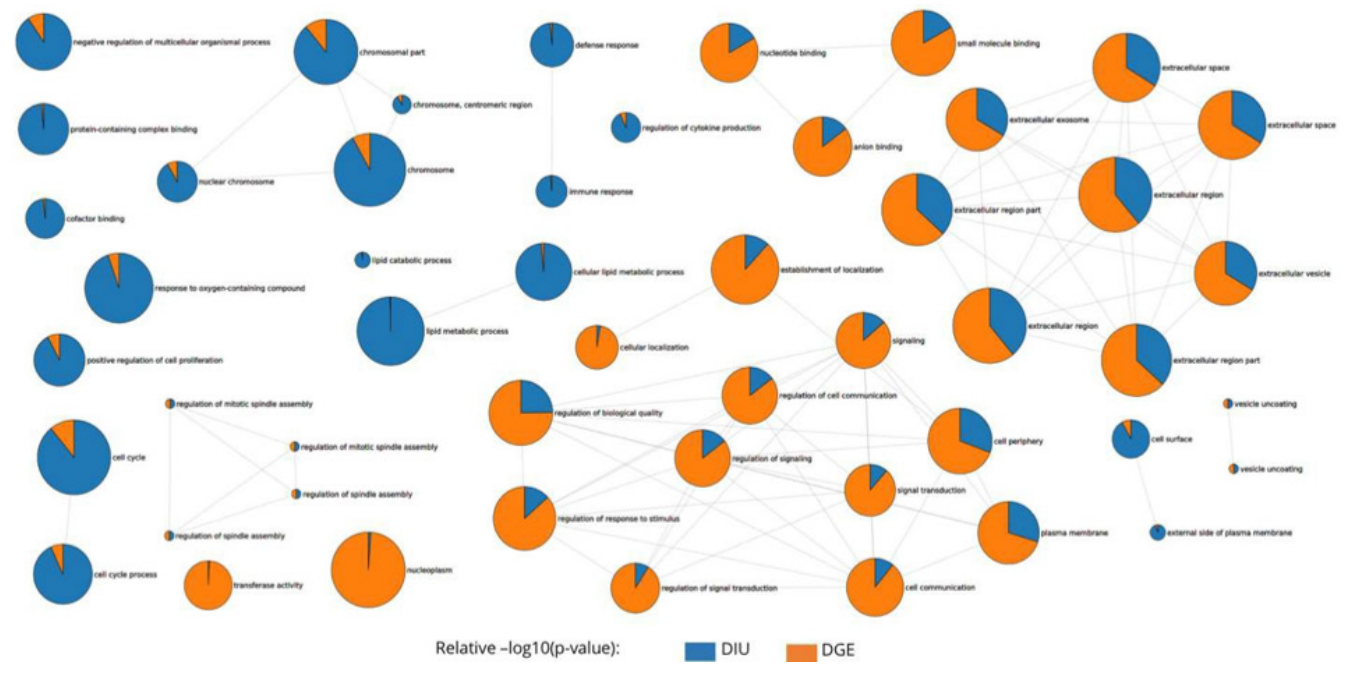 ISO-SLAM-seq：全长RNA代谢测序服务