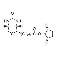 生物素-NHS