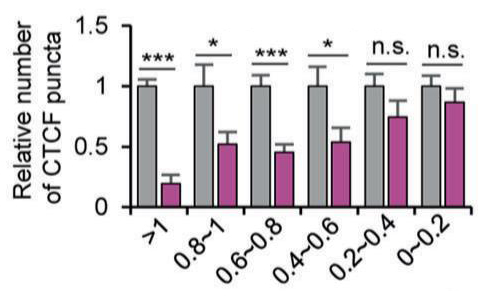 产品细节图片12
