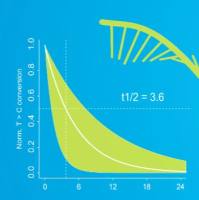 ISO-SLAM-seq：全长RNA代谢测序服务