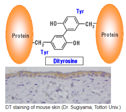 艾美捷抗地胆氨酸（DT）单克隆抗体促销倒计时，马上行动！