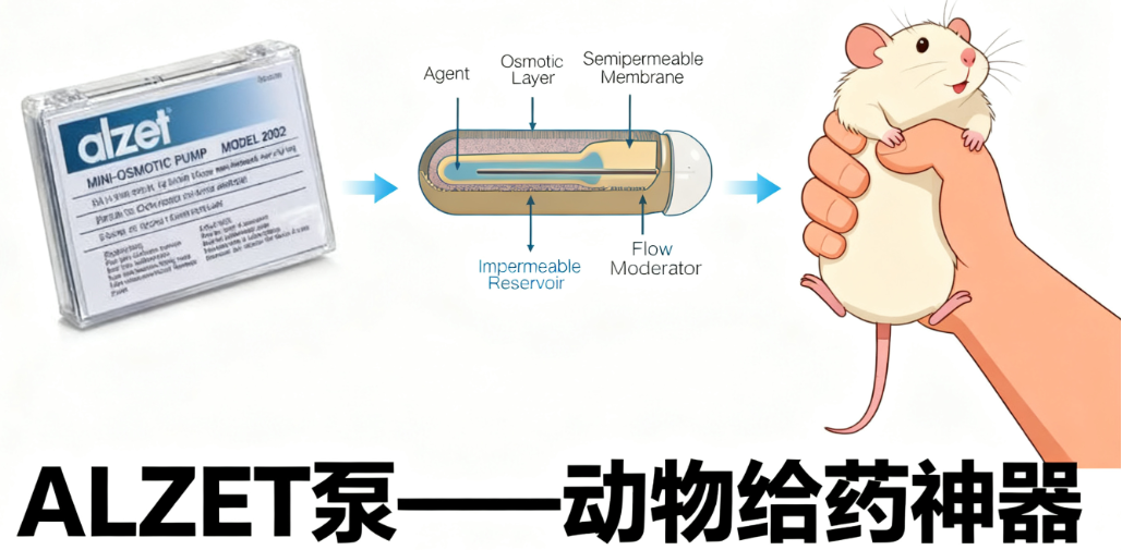 Alzet泵新货号1006供应