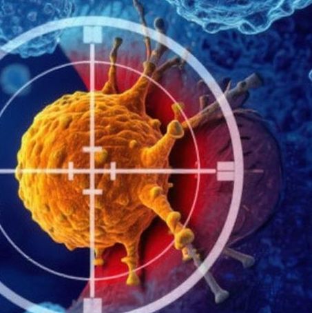 一站式服务 | 个性化肿瘤mRNA疫苗开发方案：从肿瘤新抗原预测到mRNA疫苗制备