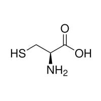 L-半胱氨酸