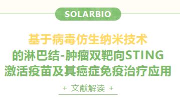 文献解读|基于病毒仿生纳米技术的淋巴结-肿瘤双靶向STING激活疫苗及其癌症免疫治疗应用