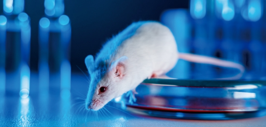 会议邀约 | 南模生物邀您参加第4届BIONNOVA北京创新论坛